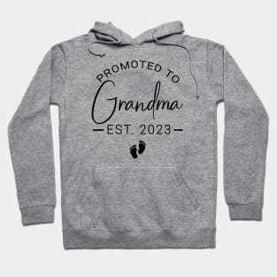 Promoted to Grandma est 2023 Hoodie